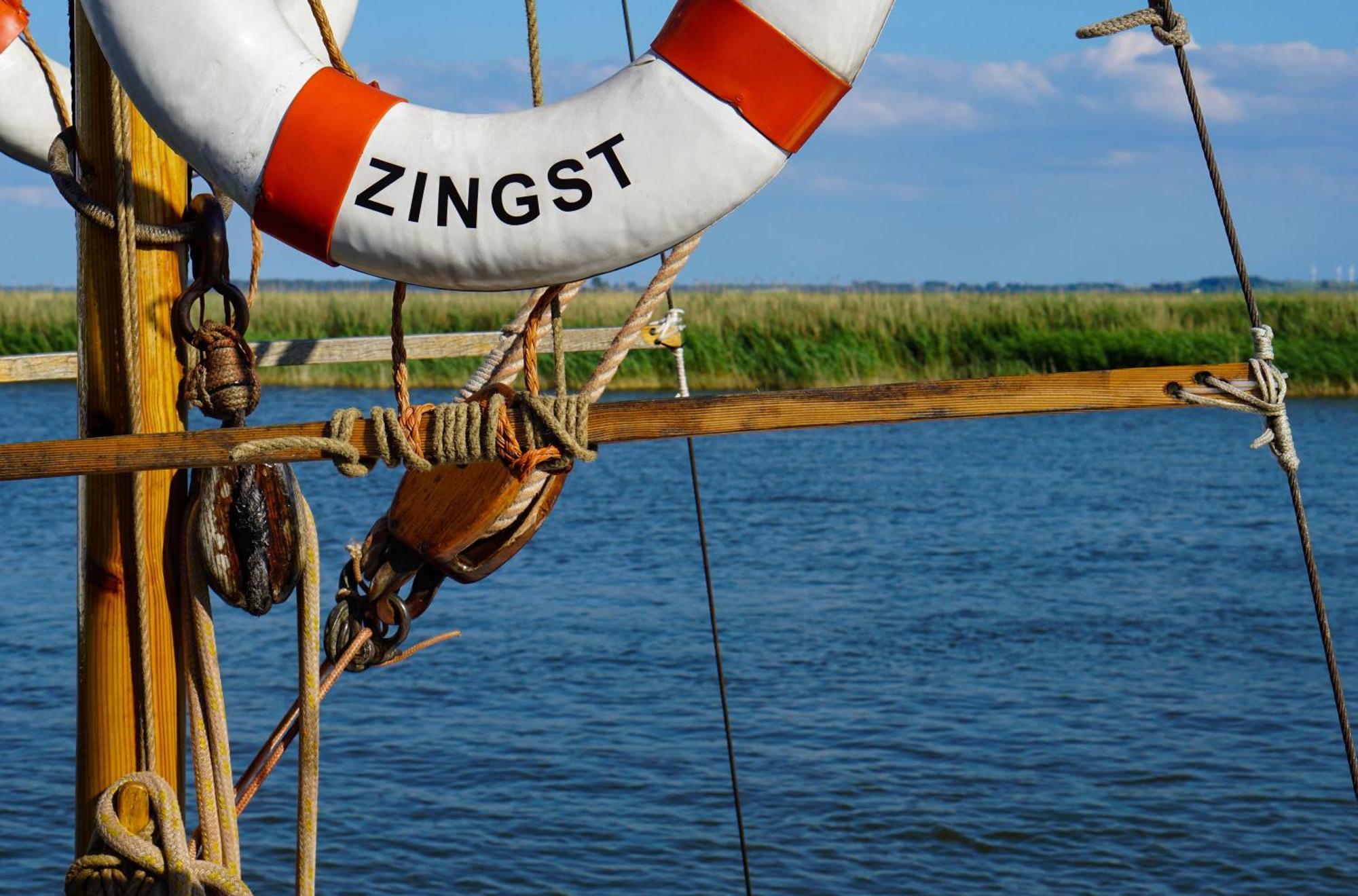 Seehund An Der Seebruecke Zingst Kültér fotó
