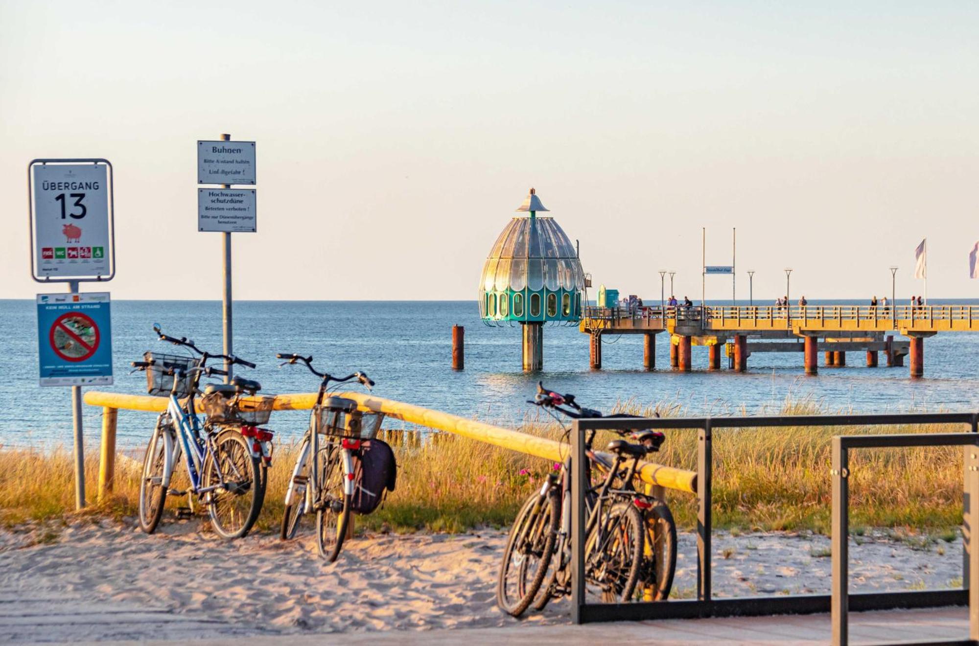 Seehund An Der Seebruecke Zingst Kültér fotó