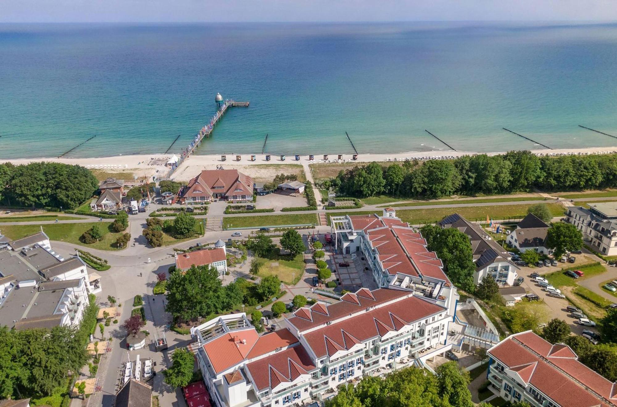 Seehund An Der Seebruecke Zingst Kültér fotó